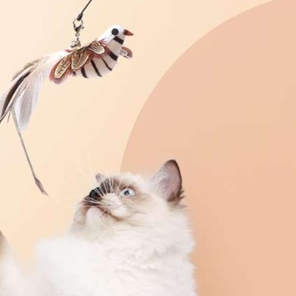 猫 おもちゃ 花かざり キラリ猫じゃらし