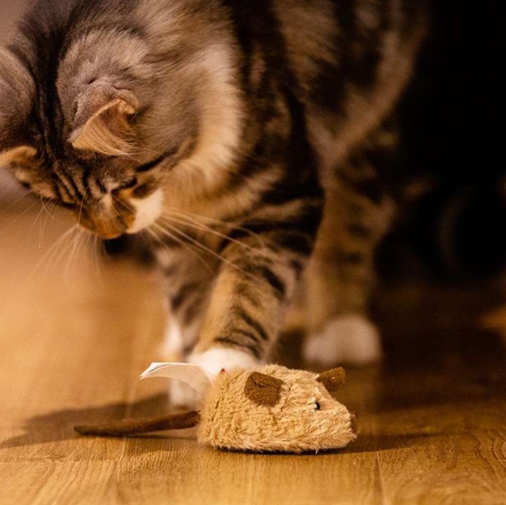 猫 おもちゃ 愛猫ネズミハンター ぬいぐるみセット