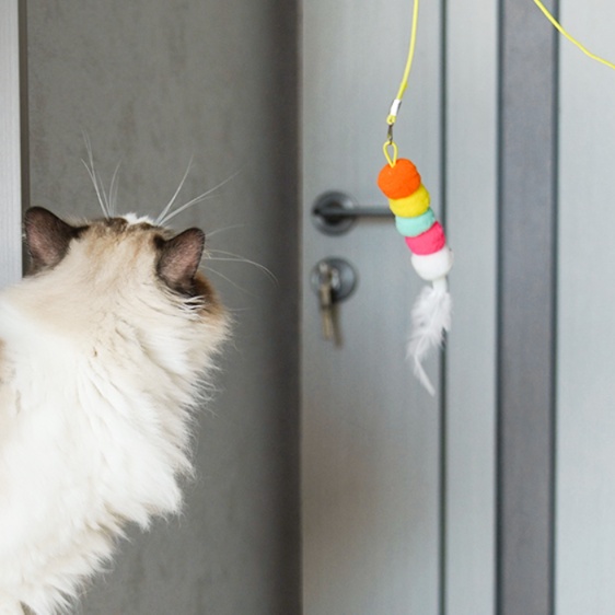 猫 おもちゃ おうちで遊ぶ 猫の知育ひも玩具