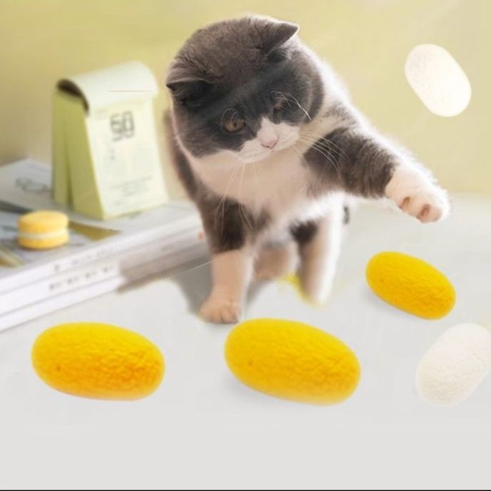 https://fulmo-img-server.com/party-cat/1749729082948_lypxdcfv_pf9bg4uu.jpeg