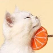 猫 おもちゃ 果物畑のお散歩猫じゃらし
