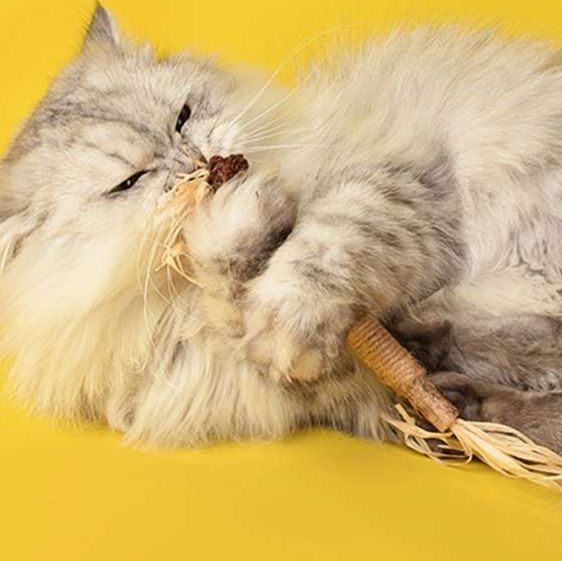 猫 おもちゃ 猫用マタタビ歯磨きスティック