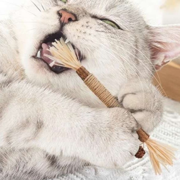 猫 おもちゃ 猫ちゃんの歯磨き遊び棒