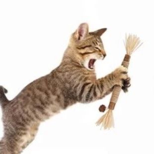 猫 おもちゃ 猫ちゃんの歯磨き遊び棒