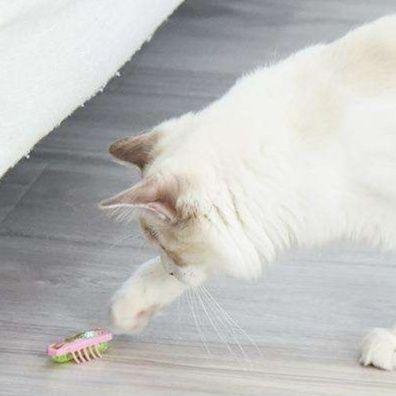 猫 おもちゃ 猫用電動虫型おもちゃ