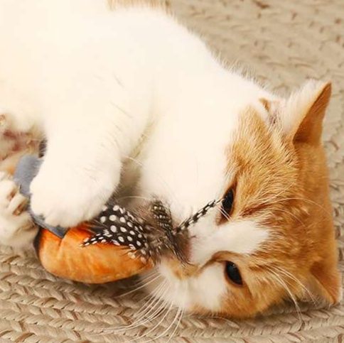 猫 おもちゃ 愛猫を夢中にさせる鳴き声付き羽根おもちゃ