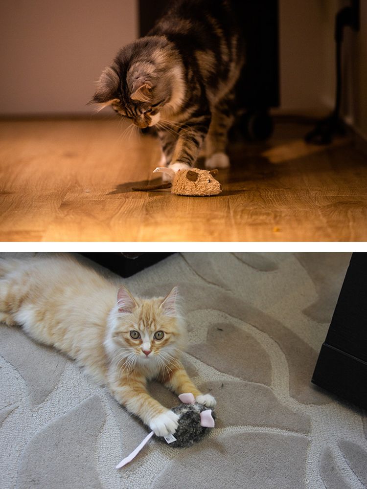 猫 おもちゃ 猫じゃらし ふわふわネズミ