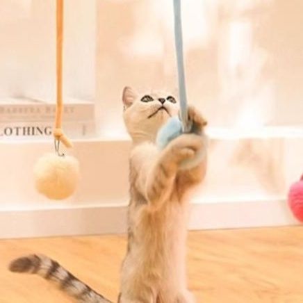 猫 おもちゃ 吸盤付き伸縮スプリング猫じゃらし