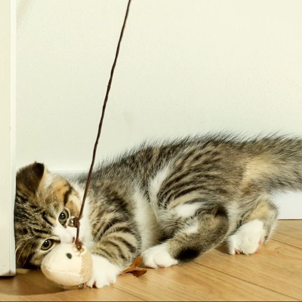 猫 おもちゃ 手作り木製 優しい鈴付き猫じゃらし