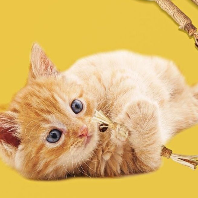 猫 おもちゃ 猫じゃらし 天然麻巻き 歯磨きおもちゃ棒
