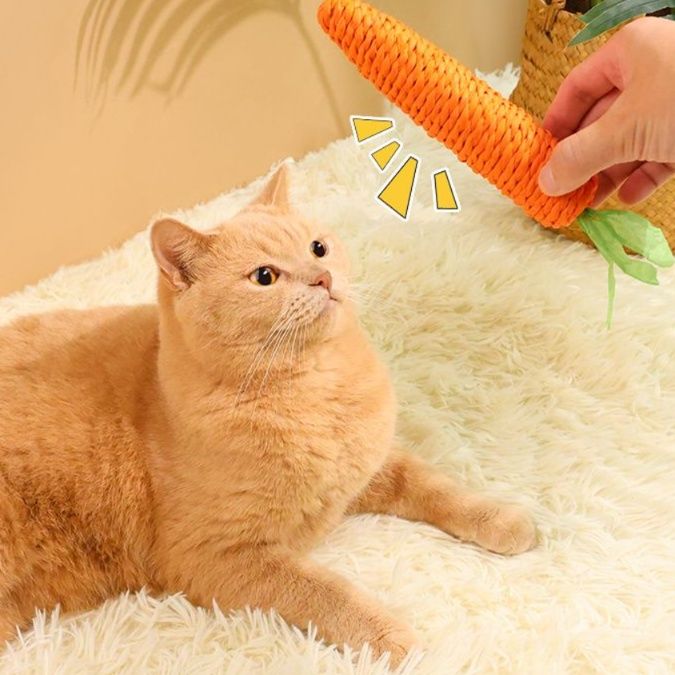 猫 おもちゃ にゃんこ大好き もちふわキャロット