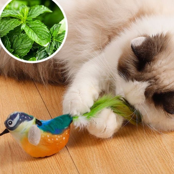 猫 おもちゃ ミント香る バードトイ猫じゃらし
