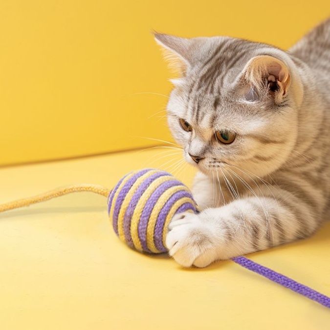 猫 おもちゃ もこもこ玉付き 猫じゃらし 丈夫な綿ロープ