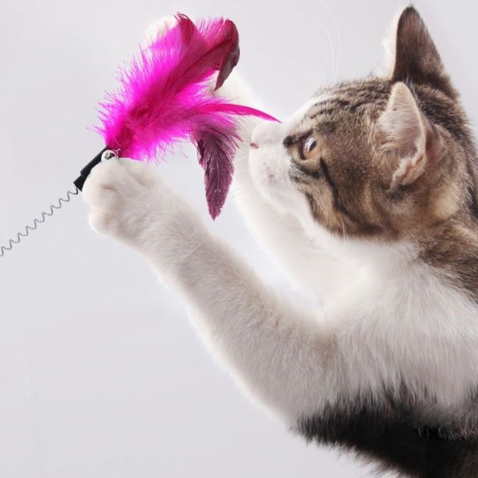 猫 おもちゃ 多機能レーザーポインター型猫じゃらし