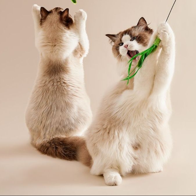 猫 おもちゃ もふもふ癒やし棒 じゃれ猫の友