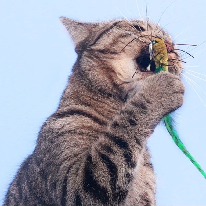 猫 おもちゃ もふもふ昆虫の猫じゃらし