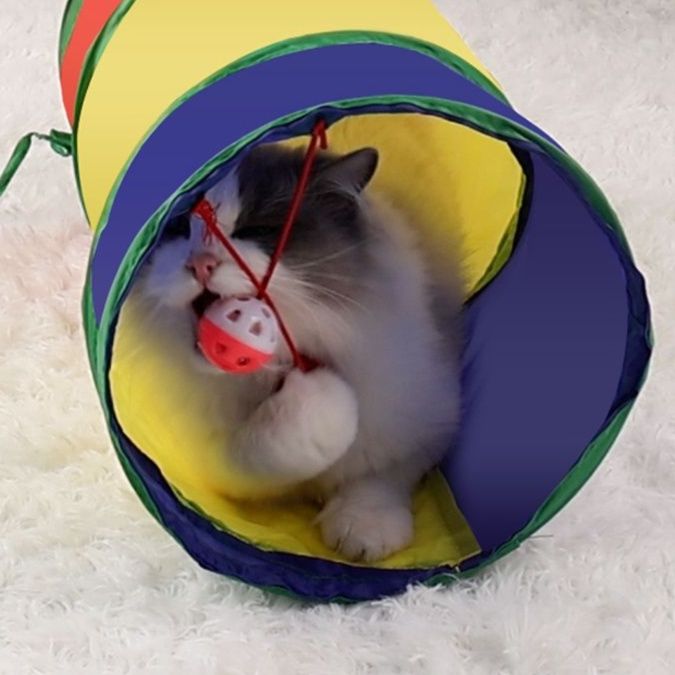 猫 おもちゃ トンネルで遊ぼう！にゃんこのおうち玉じゃらし