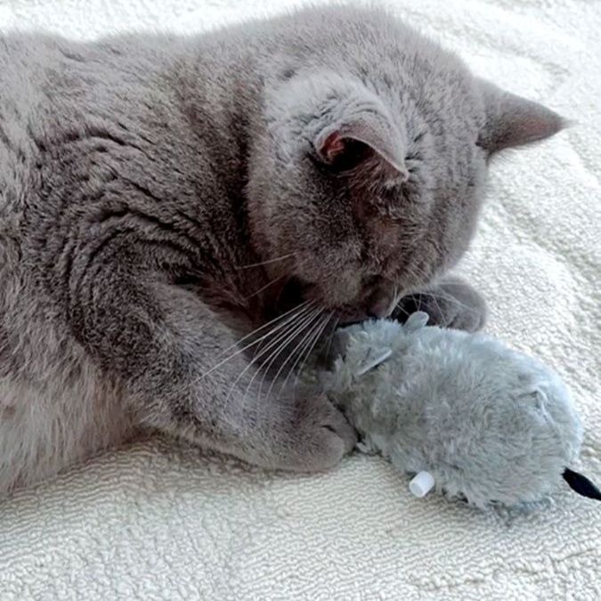 猫 おもちゃ 天然ふわもこ ねずみのおもちゃ