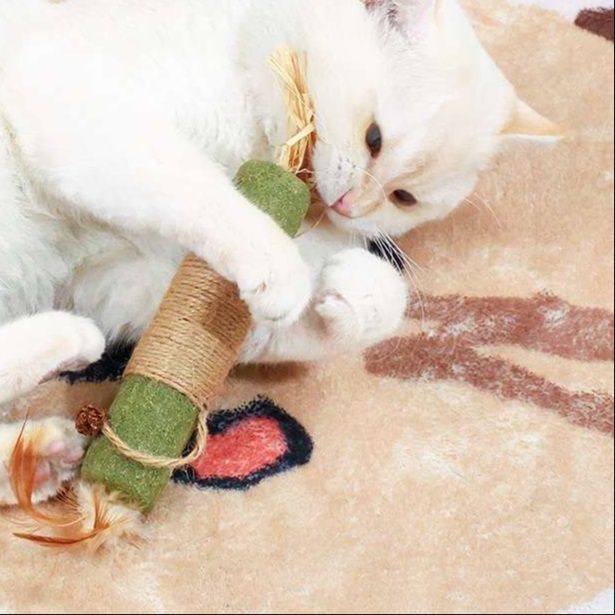 猫 おもちゃ 自然派まったり猫じゃらし棒