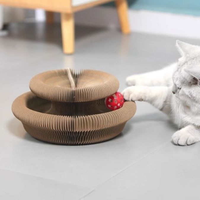 https://fulmo-img-server.com/party-cat/1749880196527_fgcyxqcv_hrkdk2ak.jpeg