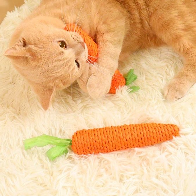 猫 おもちゃ にゃんこ大好き もちふわキャロット