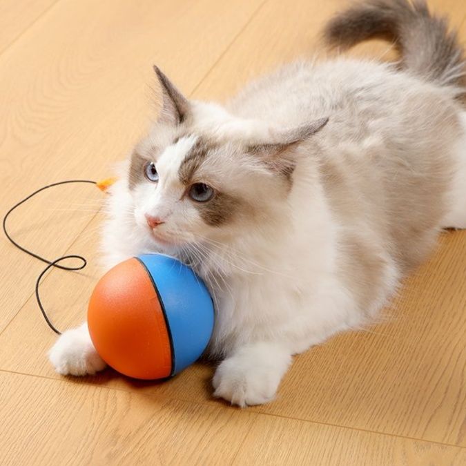 猫 おもちゃ 猫用自動回転ネズミおもちゃ