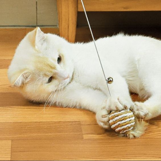 猫 おもちゃ 南国リゾート風 ヤシの木付き猫じゃらし