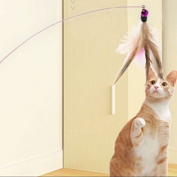 猫 おもちゃ 羽根付き仙人の杖 猫じゃらし