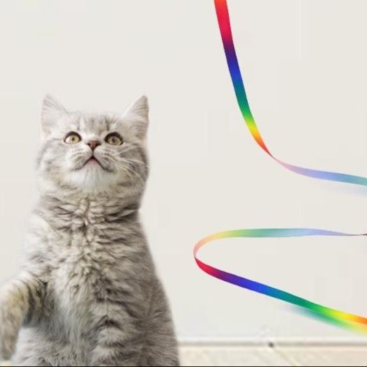 猫 おもちゃ 優雅な長さの おてて遊び猫じゃらし