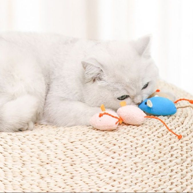 猫 おもちゃ 毛糸ねずみのじゃれ遊びセット