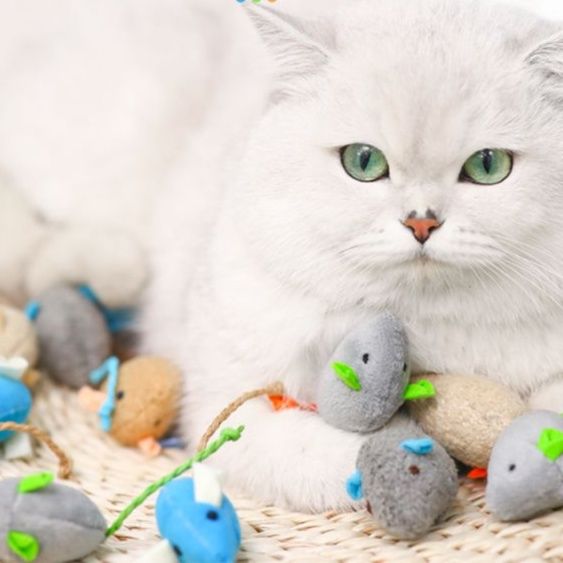 猫 おもちゃ 毛糸ねずみのじゃれ遊びセット