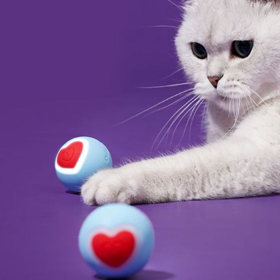 猫 おもちゃ ハート型スマートボール 猫じゃらし玩具