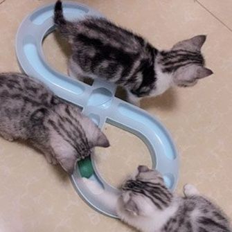 猫 おもちゃ 無限ループ・キャットボール猫じゃらし