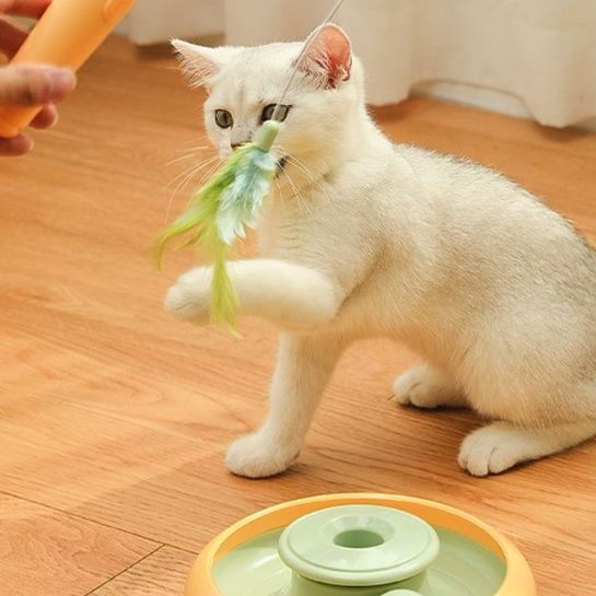猫 おもちゃ 自動回転式キャットプレイスタンド