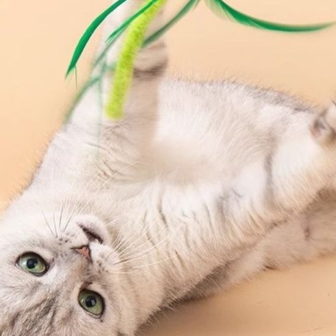 猫 おもちゃ 優しく揺れる鈴付き天然羽根じゃらし