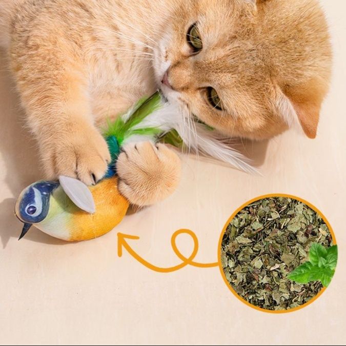 猫 おもちゃ 小鳥のようなふわふわ猫じゃらし