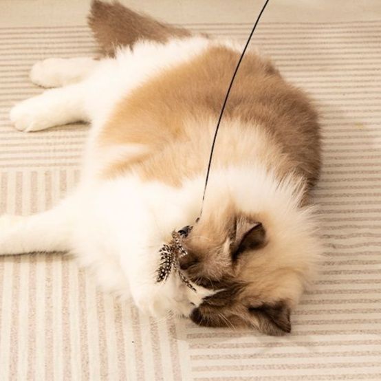 猫 おもちゃ 弾力スプリング猫じゃらし棒