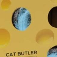 https://fulmo-img-server.com/party-cat/1750138442013_c74uwsty_v965yk7a.jpeg