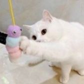 猫 おもちゃ ふわふわ棒の遊び道具