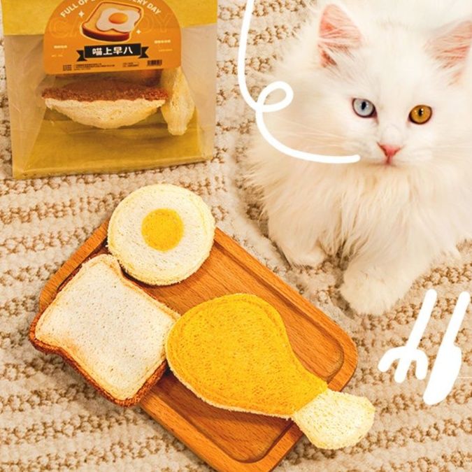 https://fulmo-img-server.com/party-cat/1750140218204_7ucsyyw1_ji1ekg4h.jpeg
