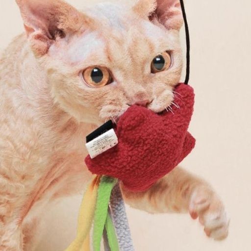 猫 おもちゃ ふわもこ星のきらめき猫じゃらし