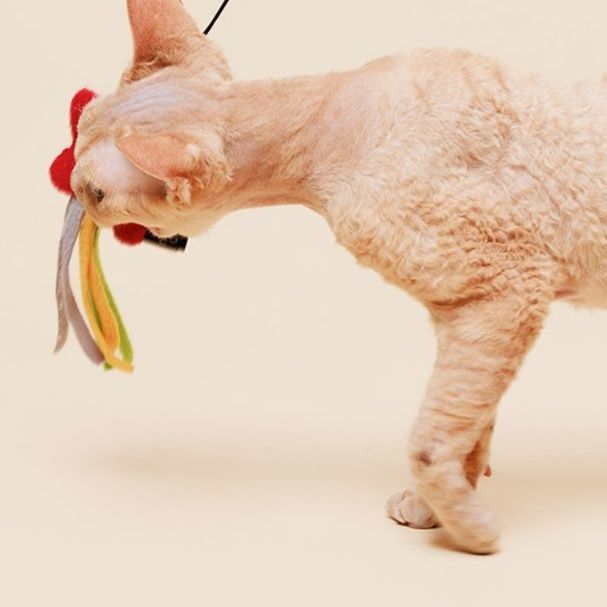猫 おもちゃ ふわもこ星のきらめき猫じゃらし