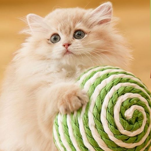 https://fulmo-img-server.com/party-cat/1750143663047_h9s2klmr_irtygftc.jpeg