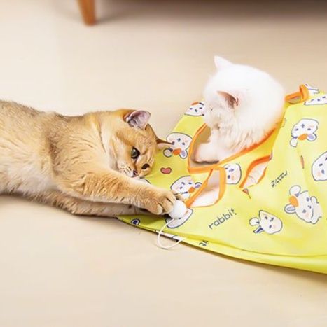 猫 おもちゃ にゃんこのトンネル遊び袋
