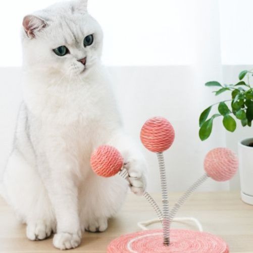 猫 おもちゃ すいかの輪っかじゃらし