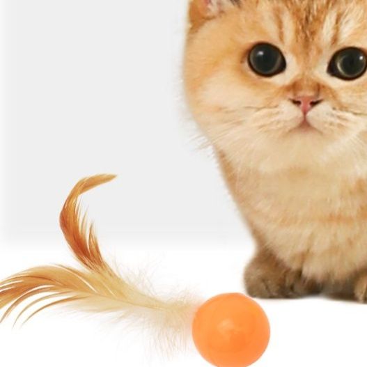 猫 おもちゃ ふわふわ羽根つき弾むボール猫じゃらし
