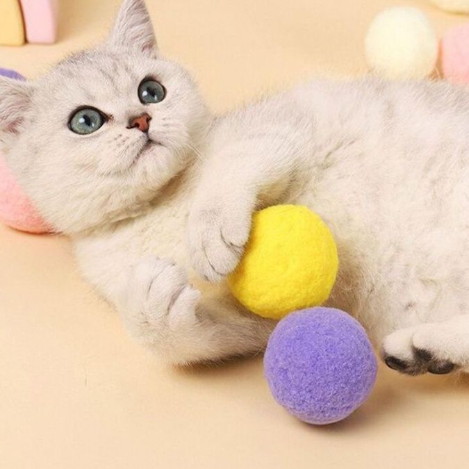 https://fulmo-img-server.com/party-cat/1750213211613_eknemvt4_pq9z66xy.jpeg