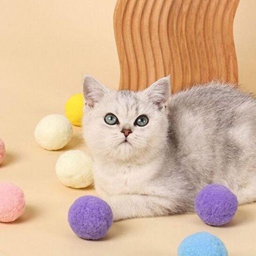 https://fulmo-img-server.com/party-cat/1750213228637_ascddfhq_9lyvd9gs.jpeg