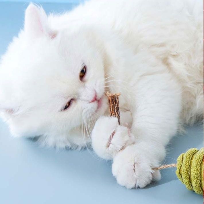 猫 おもちゃ 自然派ネズミの猫じゃらし