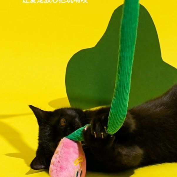 猫 おもちゃ 遊び心くすぐるさすらいの腕長猫じゃらし